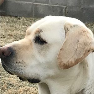 Meet your Posher, Thomas